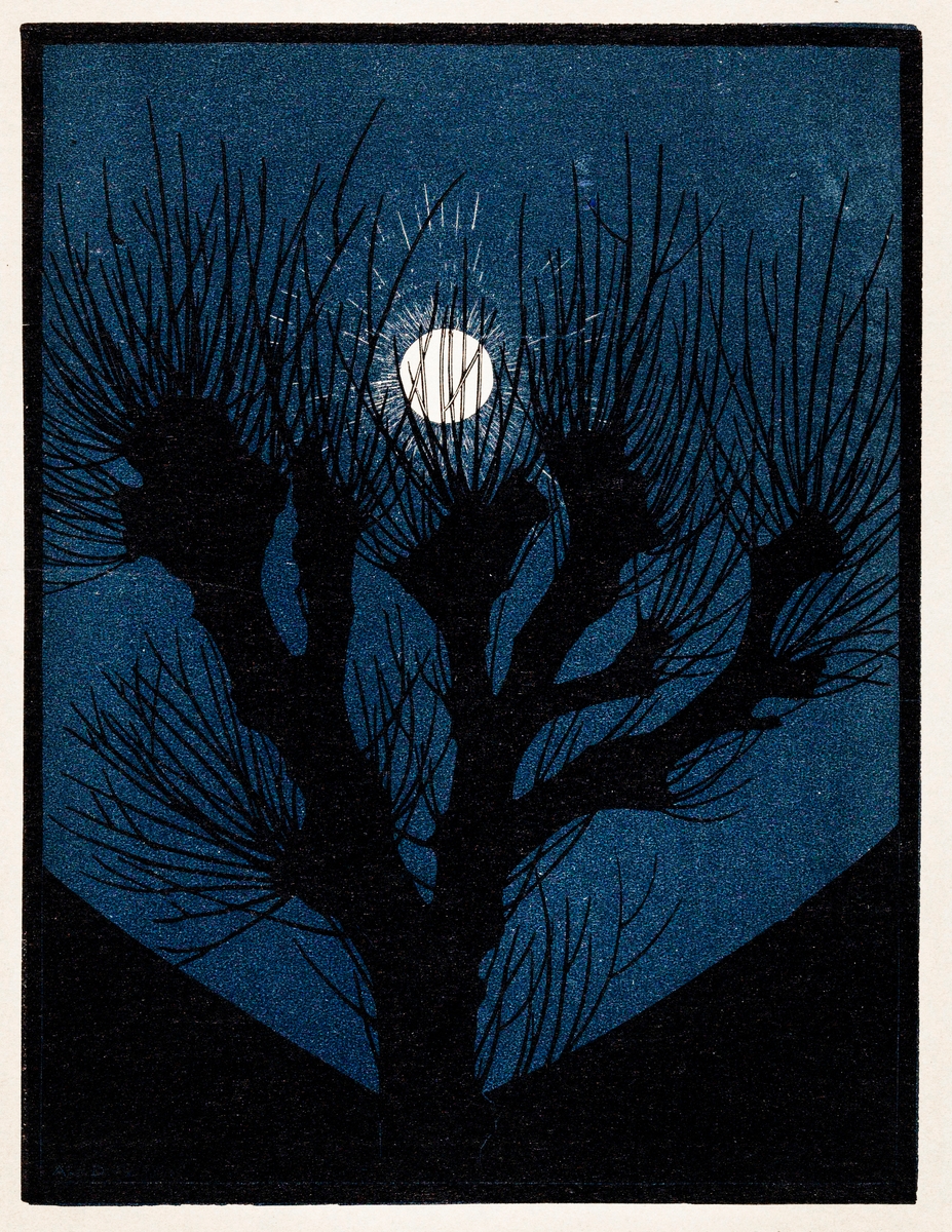Print of a joshua tree with the moon showing through the branches
