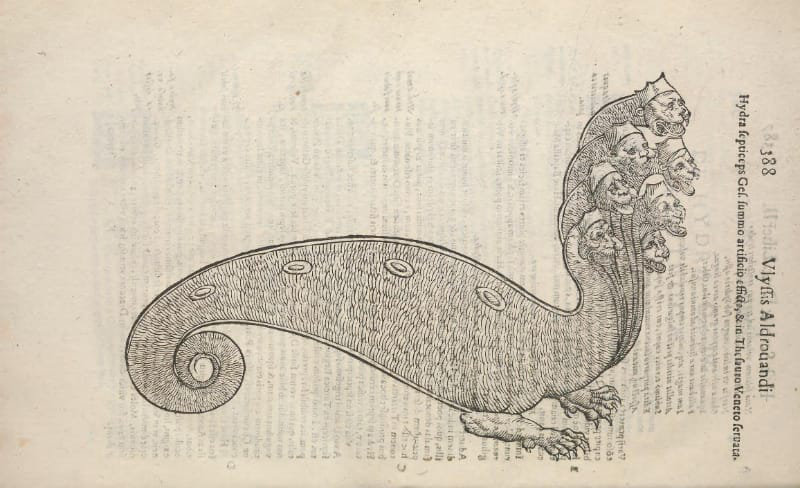 Illustration of a wingless dragon with 6 heads