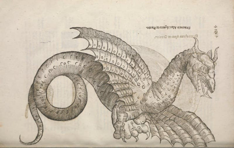 Illustration of a dragon with wings and an arrow tongue