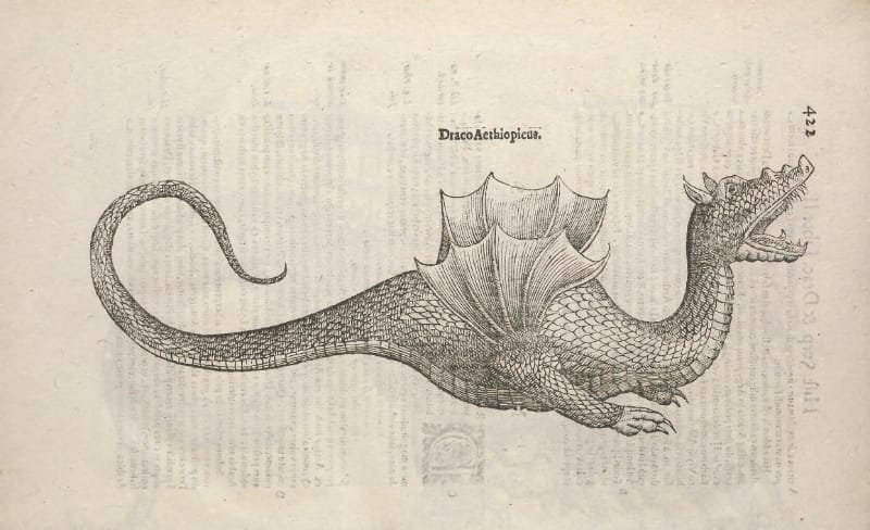 Illustration of a dragon with wings